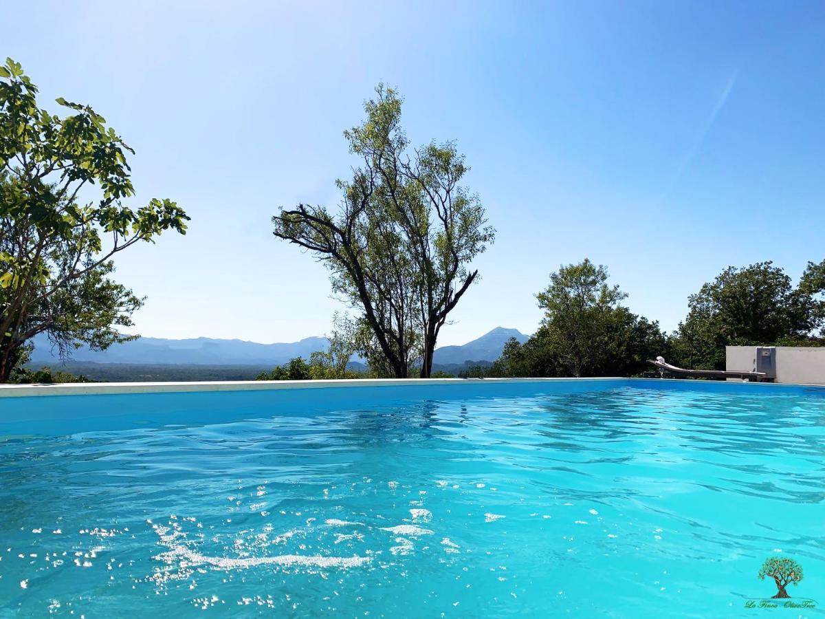 La Finca Olivetree Katuni Exteriér fotografie